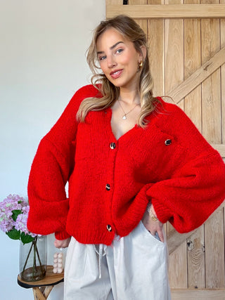 Chunky Leopard Knit Cardigan / Red