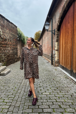 Leopard Print Long Sleeve Shirt Dress / Brown