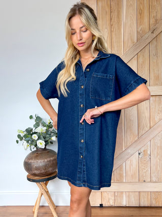 Buttoned Denim Dress / Blue